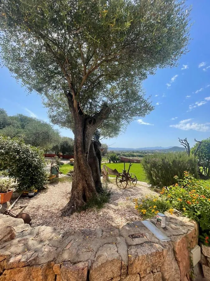 Azienda Agrituristica Contras Olbia